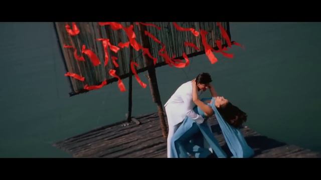 Hum Tumhare Hain Sanam | Shahrukh Khan, Madhuri Dixit | Udit Narayan | 90s Hits Hindi Songs