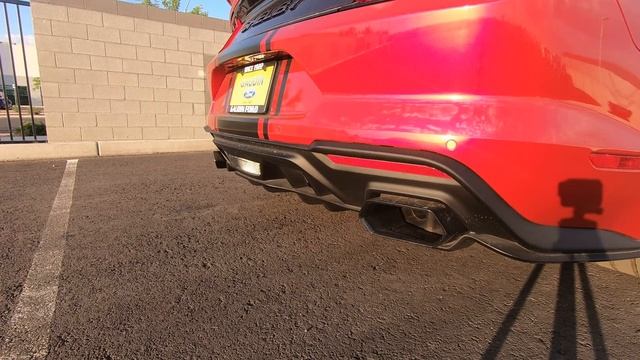 Shelby Super Snake Mustang Exhaust Sounds | BORLA EXHAUST!?! смотреть онлайн