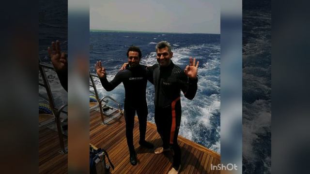 10 years together with Crazy Dolphin смотреть онлайн