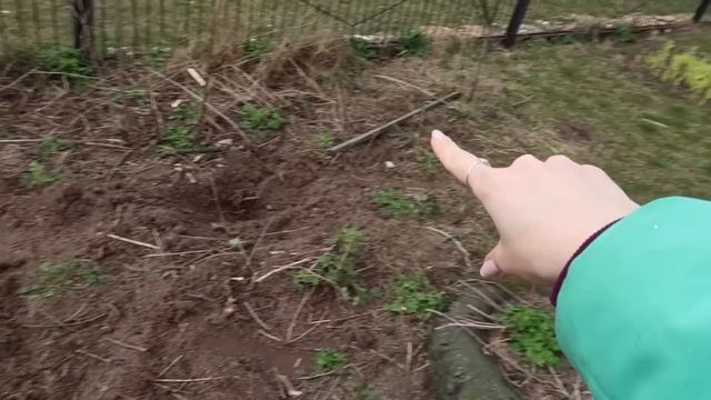 Любимая БЕЛОРУССКАЯ КОСМЕТИКА? Буби на ТЕЛЕКЕ ? ПОКУПАЮ ДЕРЕВО В Fix Price ? Распаковка AliExpress смотреть онлайн