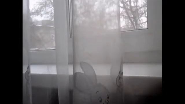 Украшаем окна к новому году смотреть онлайн