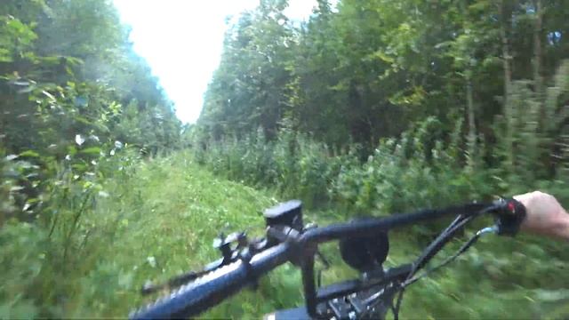 В лес после дождей. Проверяем трайк SR-32 на проходимость! смотреть онлайн