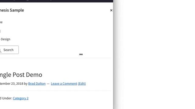 Animated Search Form in Genesis Nav Menu смотреть онлайн