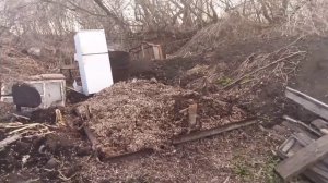 Перепелиный помет! Куда девать! Нашёл выход из ситуации! ??Сделаю перегной в открытом грунте!