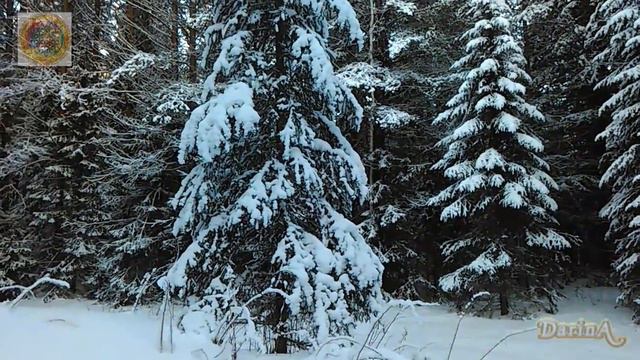 Сказочная тишина в лесу смотреть онлайн
