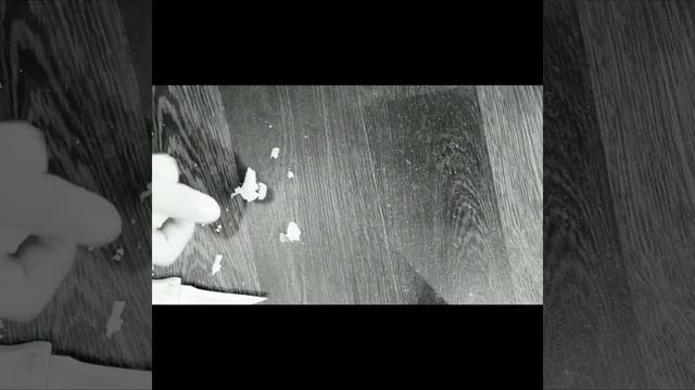 Как сделать диван для петов из губки смотреть онлайн