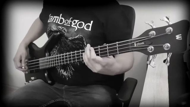 Pantera- Fucking Hostile [Bass Cover] смотреть онлайн