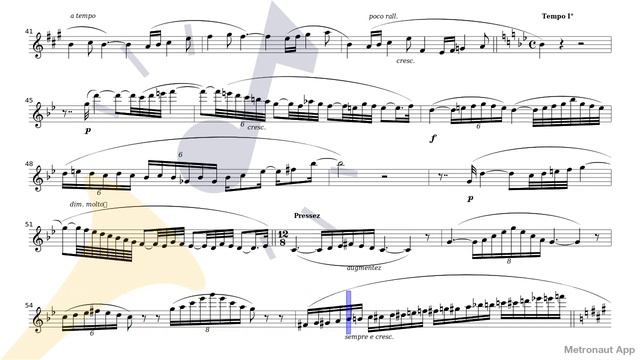 Flute - Georges Hüe - Fantaisie pour flûte et piano смотреть онлайн