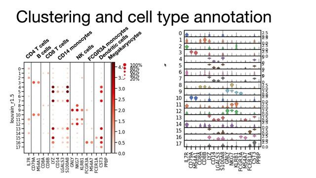 4th scanpy session - Clustering and cell type annotation смотреть онлайн