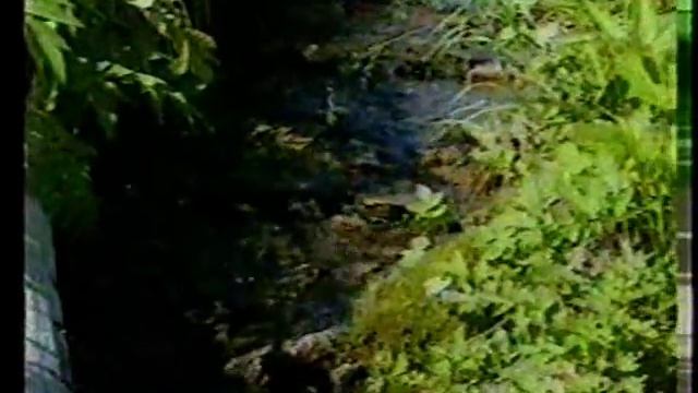 Саранковая Родина.с.Ярцево. смотреть онлайн