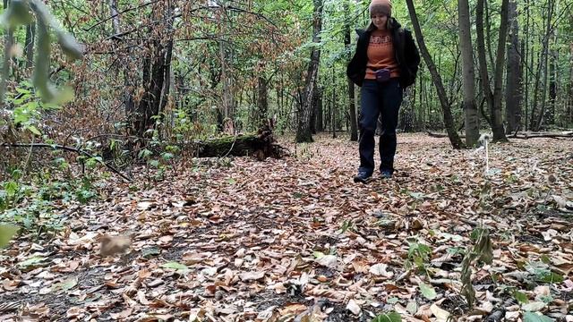 Как научить собаку слышать человека на улице? смотреть онлайн