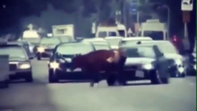 А корове то по барабану смотреть онлайн