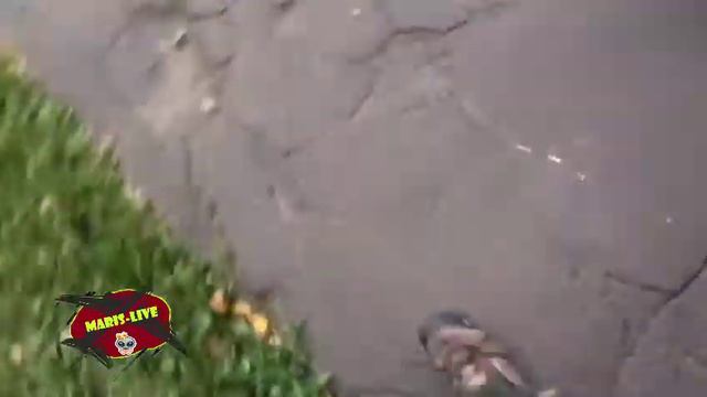 ВАЗ 2108 ГЛОХНЕТ НА ХОДУ смотреть онлайн