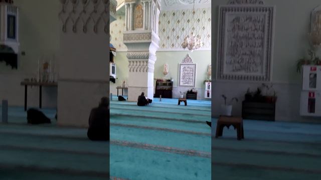 Байкен мешіті. Алматы смотреть онлайн