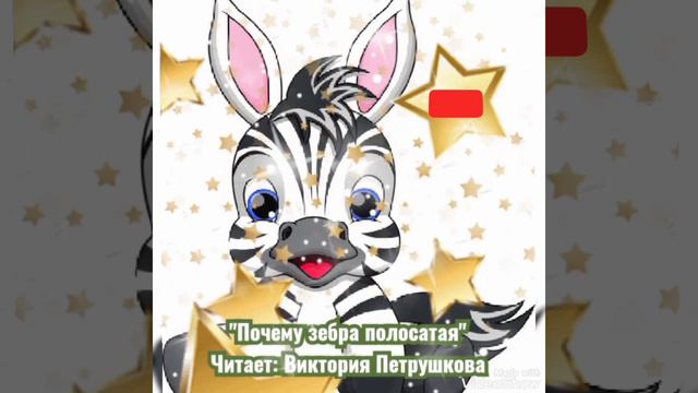 @pecherska #почему#зебра#полосатая смотреть онлайн