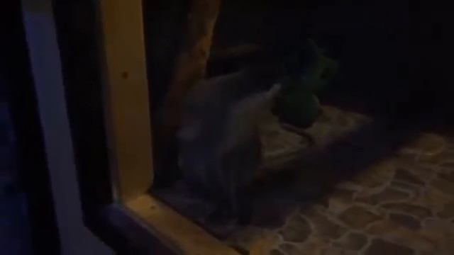 Волгодонск Сауна VIP смотреть онлайн