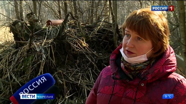 Найден человек устроивший свалку смотреть онлайн