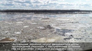 В Нижневартовске ледоход на Оби ожидается с 1 по 10 мая  ?