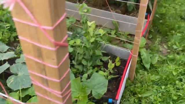 Мой огород в Волоколамске ??? смотреть онлайн