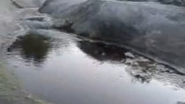 Бег 15.08.2010 смотреть онлайн