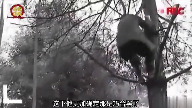 湖南山村怪事频发，树下睡着睡醒却在树上，村民：洞里神仙在作怪 смотреть онлайн