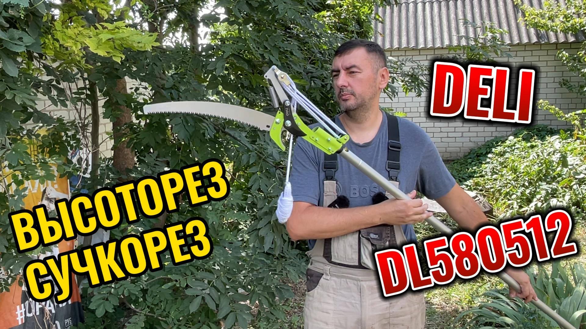 Штанговый высоторез-сучкорез с секатором DELI смотреть онлайн