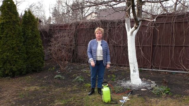Чем опрыскивать сад весной. Обработка сада от болезней и вредителей. Весенняя обработка сада. смотреть онлайн