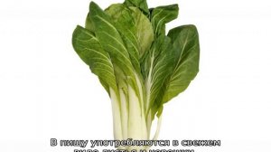Китайская капуста или Бок Чой