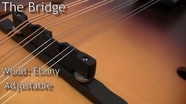Instrument Demo: Pre-Owned Loar LM-590-MS Mandolin смотреть онлайн