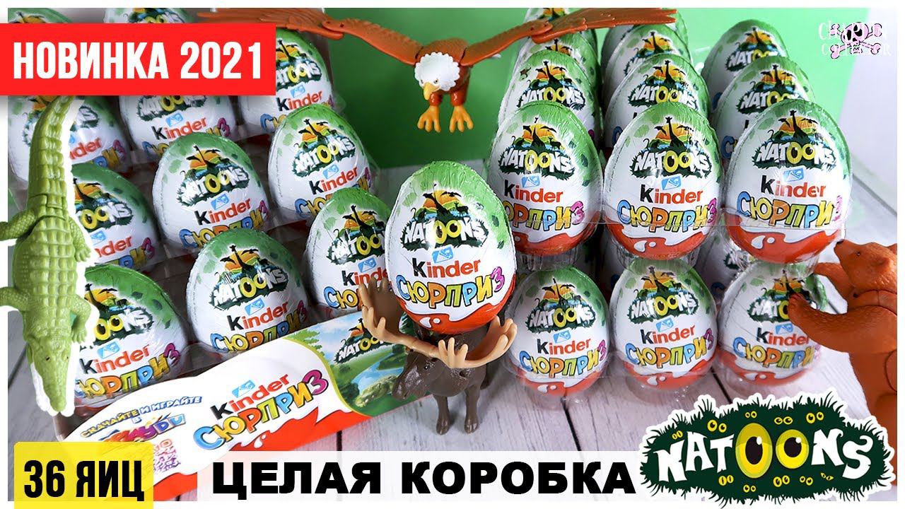 Целая коробка НАТУНС? | Новинка Natoons2021 от Киндер Сюрприз смотреть онлайн