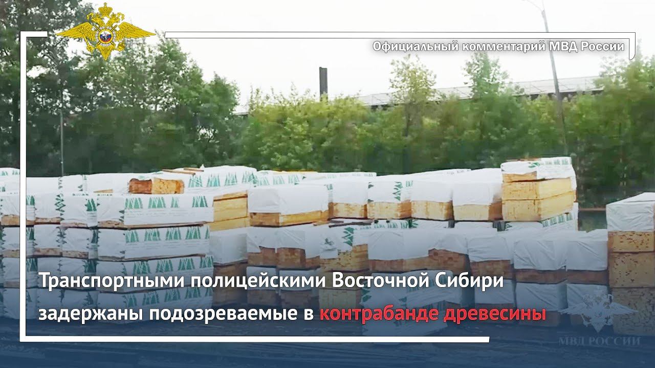 Ирина Волк: Полицейскими Восточной Сибири задержаны подозреваемые в контрабанде древесины смотреть онлайн