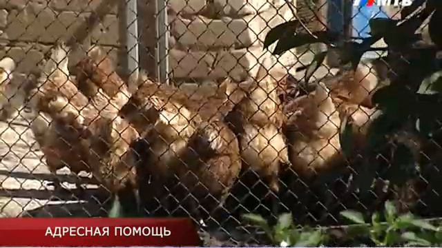 Адресная помощь смотреть онлайн