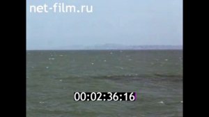 1976г. река Кура. город Мингечаур. Азербайджан.