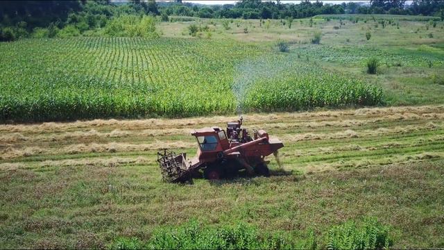 Нива СК 5 проти Зелені на Пшениці Уборка 2021 смотреть онлайн