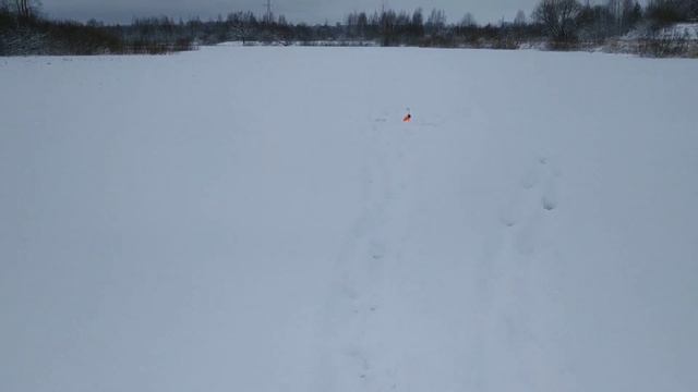 Ловля щуки зимой на жерлицы. Зимняя рыбалка на жерлицы в глухозимье. Рыбалка в Беларуси смотреть онлайн