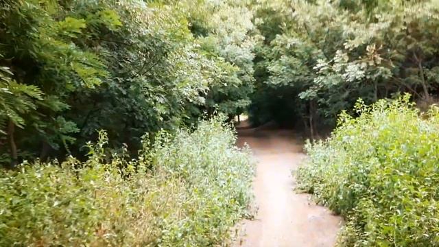 Парк Шевченко, Одесса смотреть онлайн