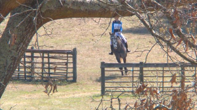 Lexi Robinson "Wayward Son" Sporting Days Horse Trials XC/TOTJ 3/5/2017 смотреть онлайн