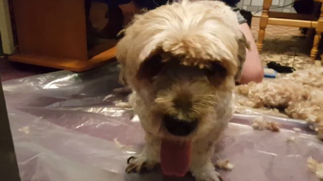 После двух с половиной часов мучений смотреть онлайн