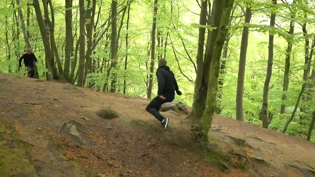 Forest Shenanigans | Air Wipp смотреть онлайн