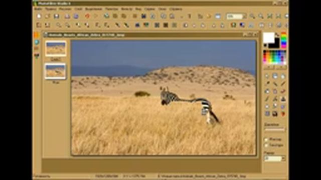 убираем объект штампом (PhotoFiltre Studio) смотреть онлайн