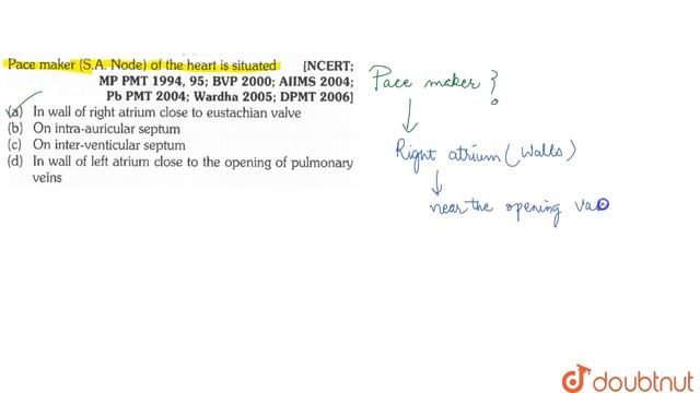 Pace maker (S.A. Node) of the heart is situated | 11 | BODY FLUIDS AND CIRCULATION | BIOLOGY | E... смотреть онлайн