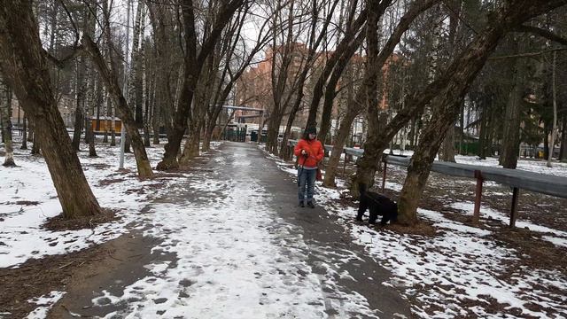 Первая совместная прогулка смотреть онлайн