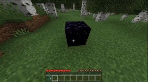 Cамые известные баги на версии java и bedrock майнкрафт