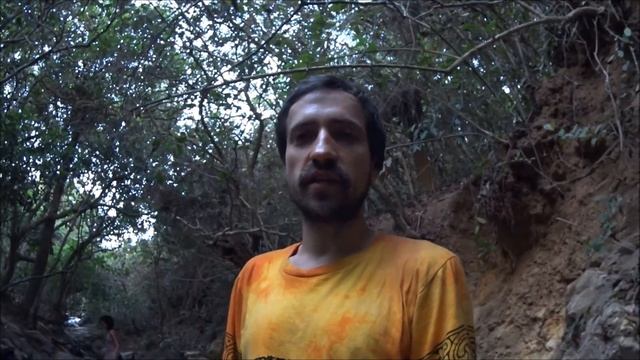 Гоа Блог 99. Чем занимается Баба (Баньян дерево) в Арамболь, о чем рассказывает, почем делает масса смотреть онлайн