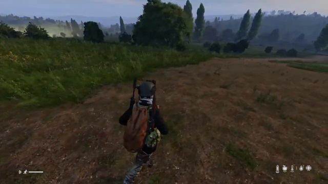 DayZ Livonia Nidek Radiation zone смотреть онлайн