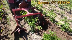 Второе окучивание на больших колёсах. Минитрактор беларус 132н.