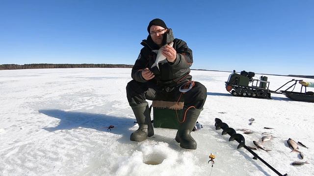 ЛОВИМ ПОДЛЕЩИКОВ на ВОЛГЕ || ЗИМНЯЯ РЫБАЛКА на УДОЧКИ || ЛОВЛЯ РЫБЫ на ЖЕРЛИЦЫ ЗИМОЙ смотреть онлайн