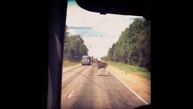 Фото приколы обо всем смотреть онлайн
