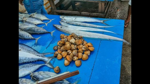 Хиккадува и окрестности