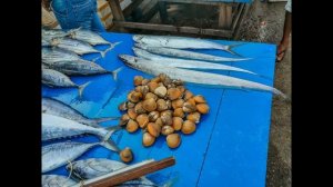 Хиккадува и окрестности